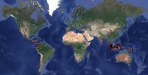 Locations of Unilever palm oil mills