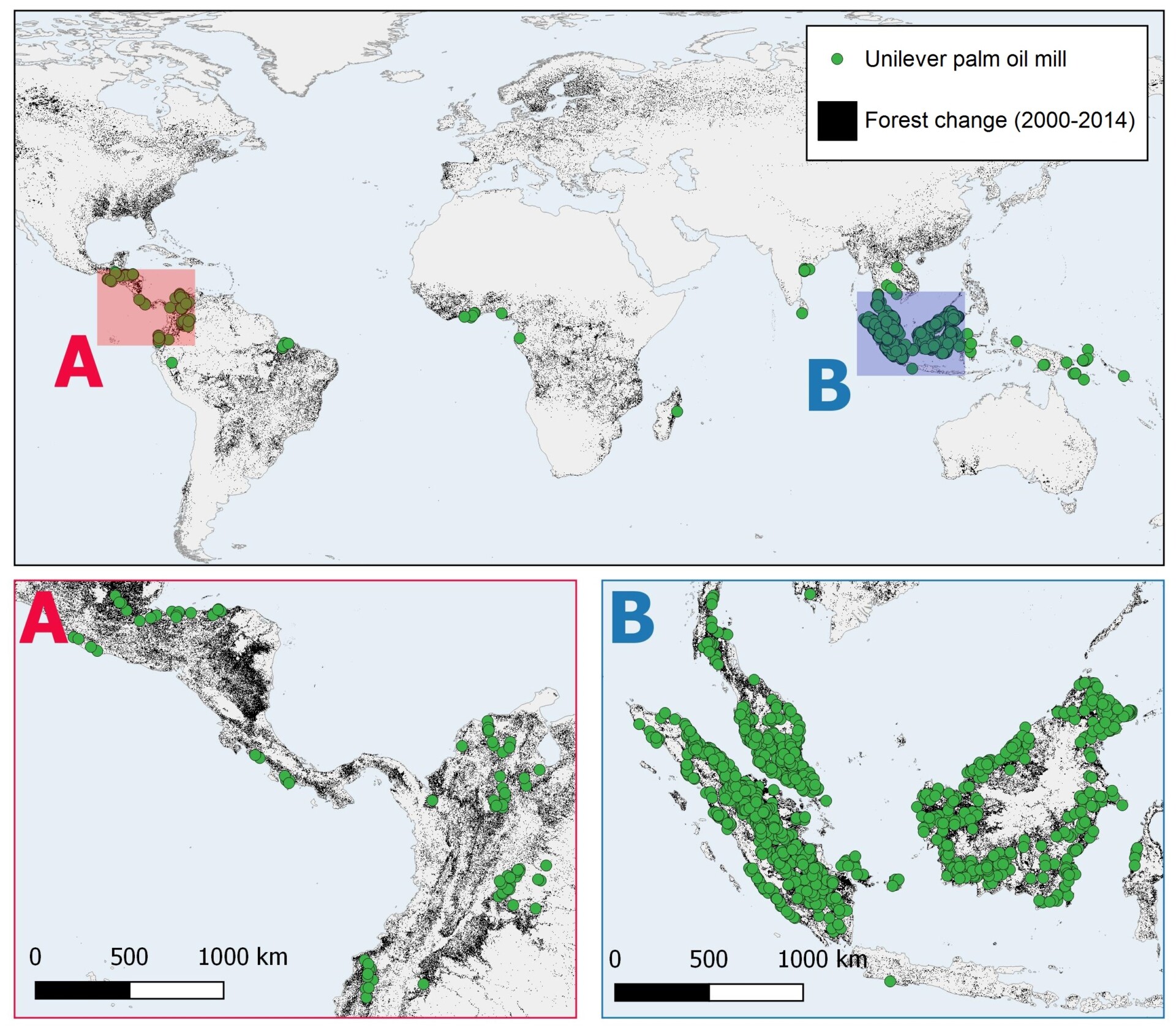 Forest change global overview