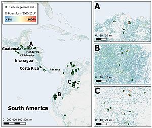 Forest change in South America and others