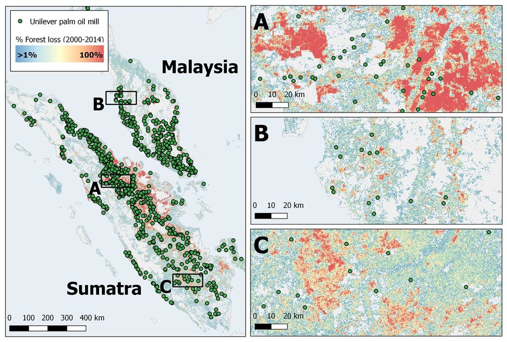 Forest change in Sumatra and Malaysia