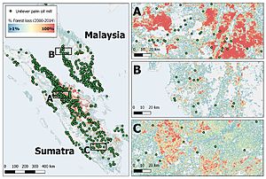 Forest change in Indonesia