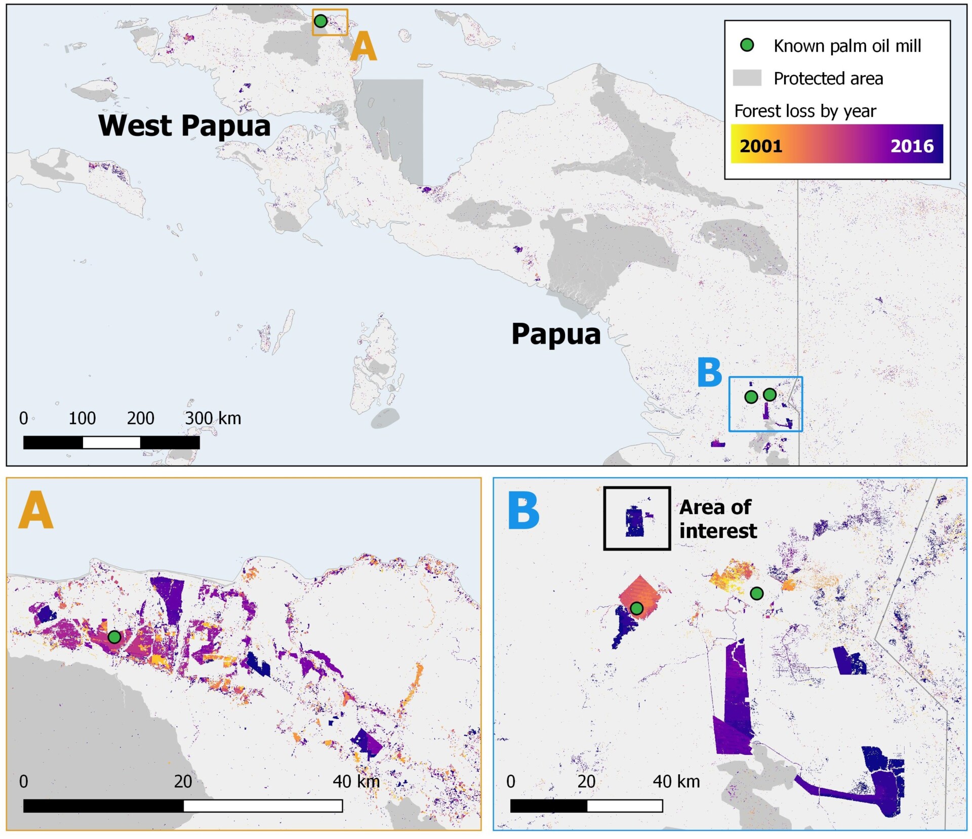 Forest change in Papua