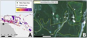 Forest change around Medco Papua Hijau