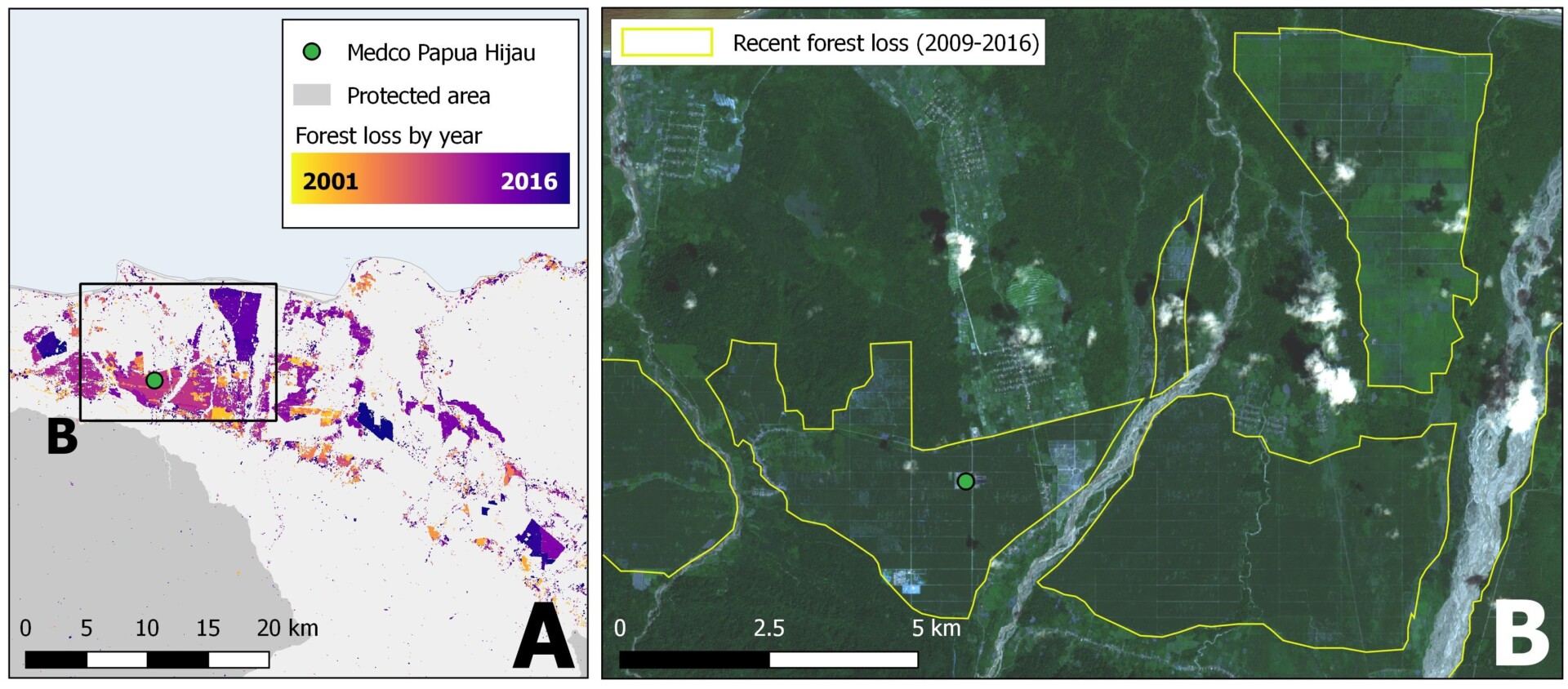 Forest change around Medco Papua Hijau