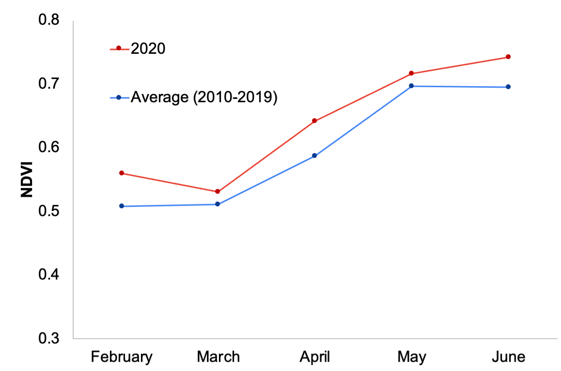 NDVI monthly averages - 2020 vs historical averages (2010-2019)