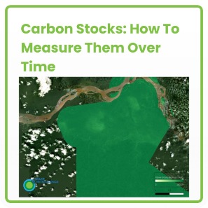 Measuring carbon stocks over time