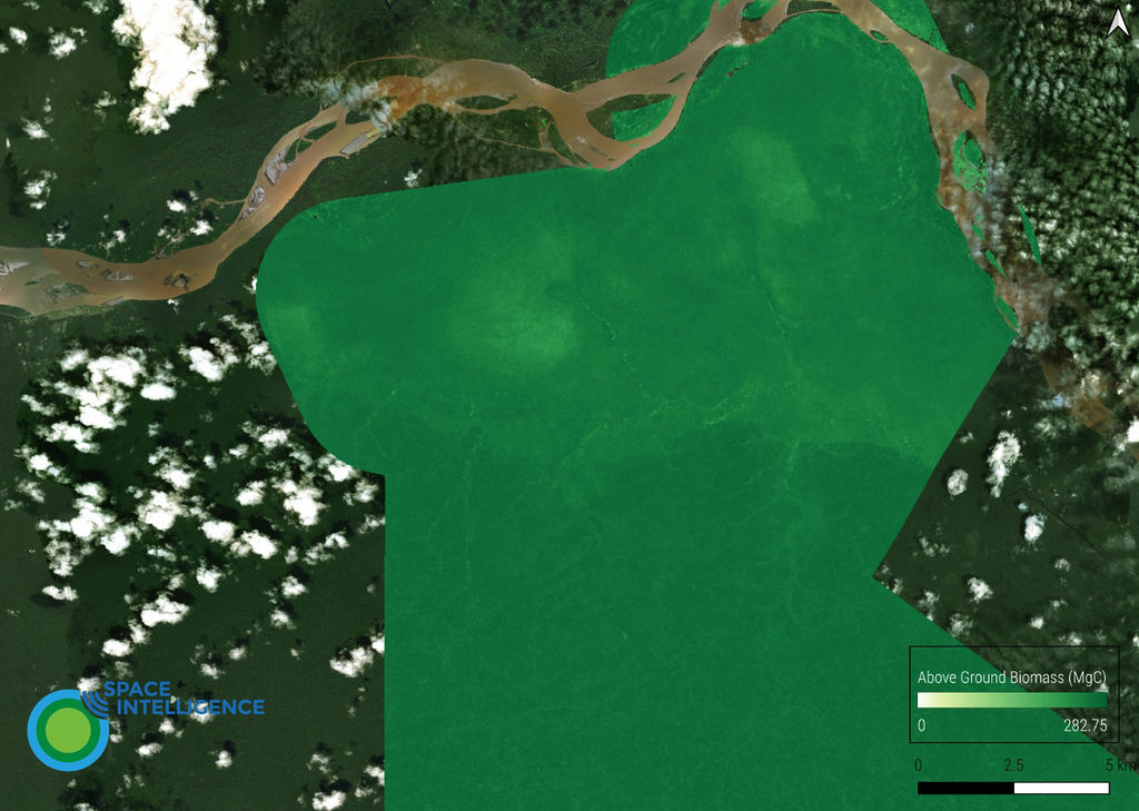 The carbon stored within this forest in Peru is demonstrated using the CarbonMapper tool from Space Intelligence
