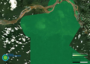 The carbon stored within this forest in Peru is demonstrated using the CarbonMapper tool from Space Intelligence