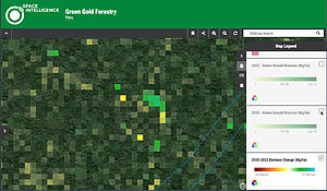 A pixel picture of the change in above ground biomass between 2020 and 2022 of Green Gold Forestry Peru’s project area.