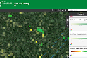A pixel picture of the change in above ground biomass between 2020 and 2022 of Green Gold Forestry Peru’s project area.