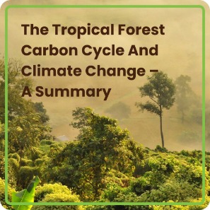 The tropical rainforest carbon cycle - Space Intelligence