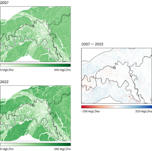 Project dev - Carbon Change Maps, Amazonas WCS (1)