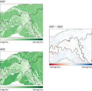 Project dev - Carbon Change Maps, Amazonas WCS (2) (1)