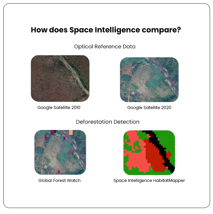 Tanzania-GFW-Comparison
