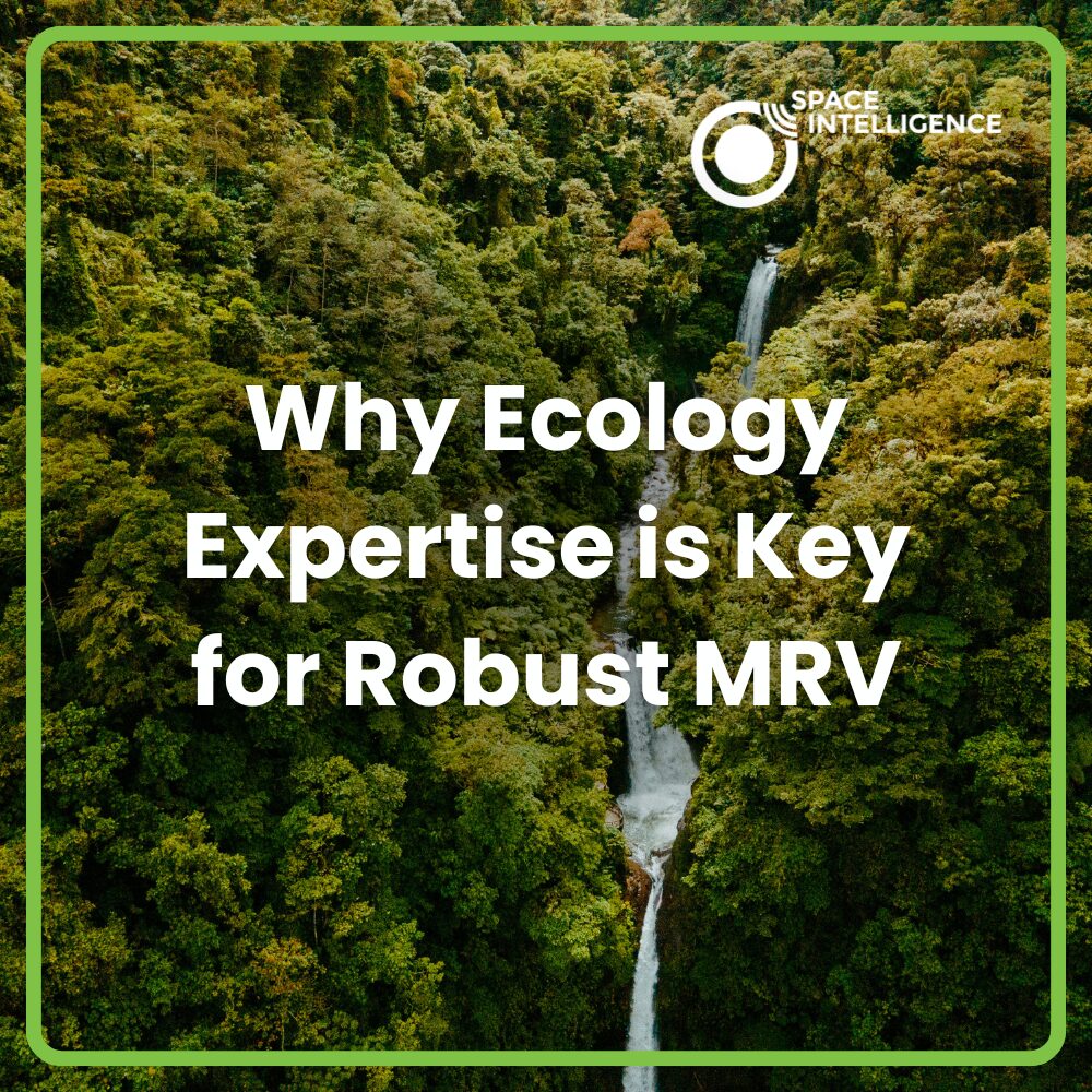 Why Ecology Expertise is Key for Robust MRV
