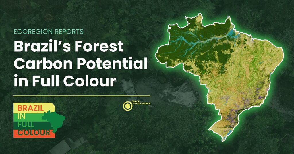 Reports Tiles - Brazil Reports