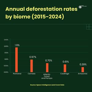 Annual deforestation rates in Brazil, 2015-2024